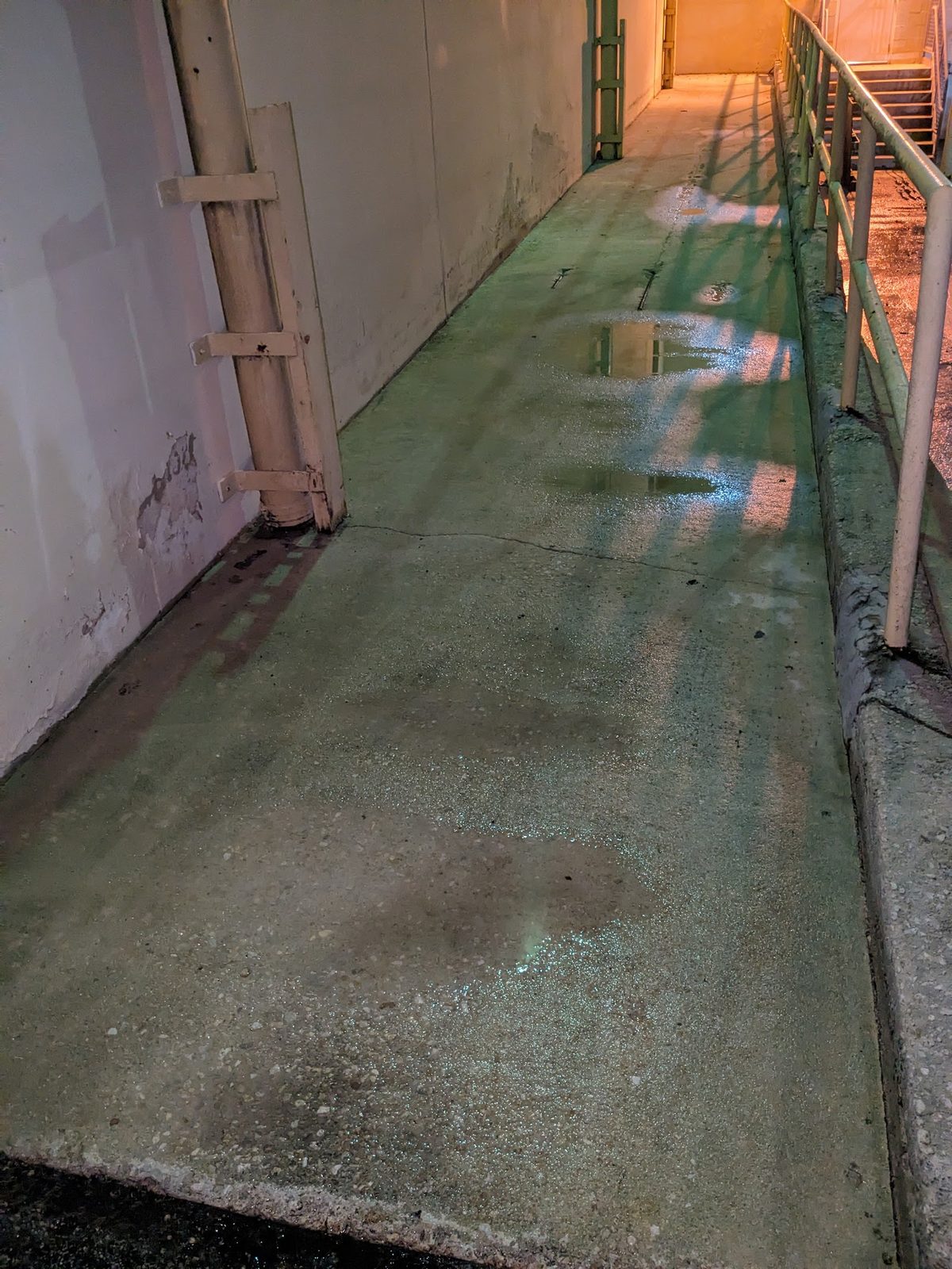 Green algae film rinsing off a shaded walkway