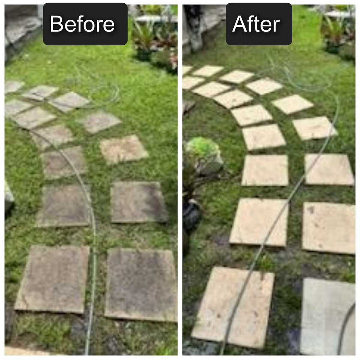 Stepping-stone path cleaned in place
