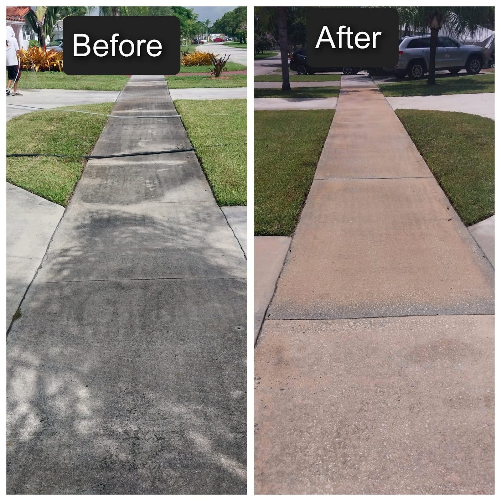 Driveway & Sidewalk Cleaning