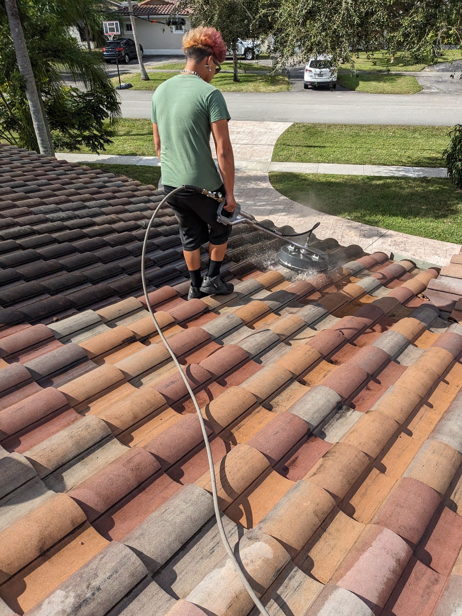 Roof Soft Washing